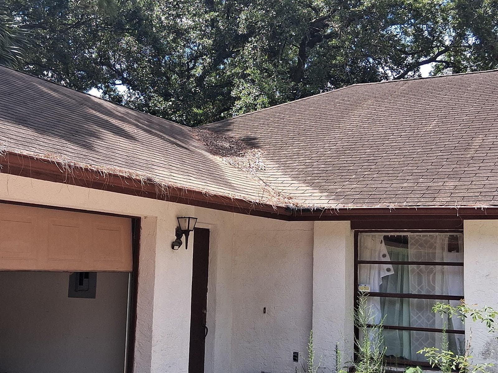 230 PEAKE Street NE, Palm Bay, FL 32907 photo 3