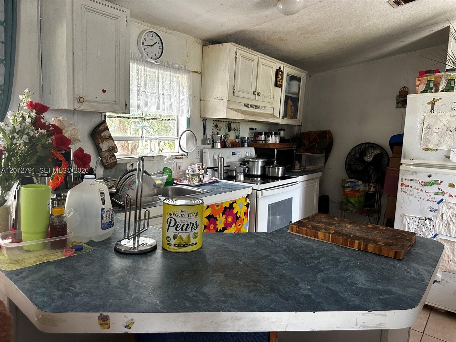635 N FRONDA, Clewiston, FL 33440 photo 5