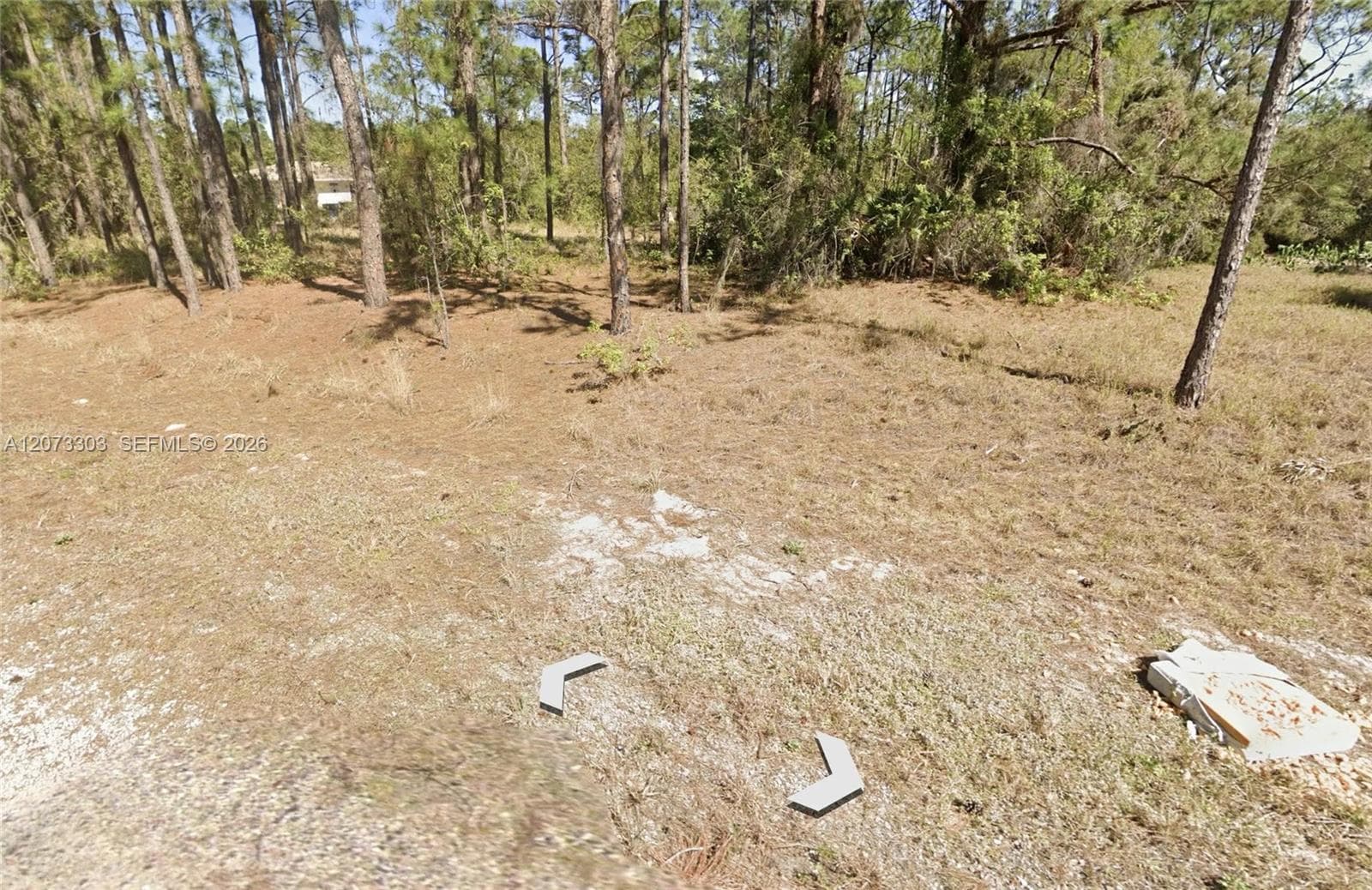 613 Lynn court, Lake Placid, FL 33852 photo 5