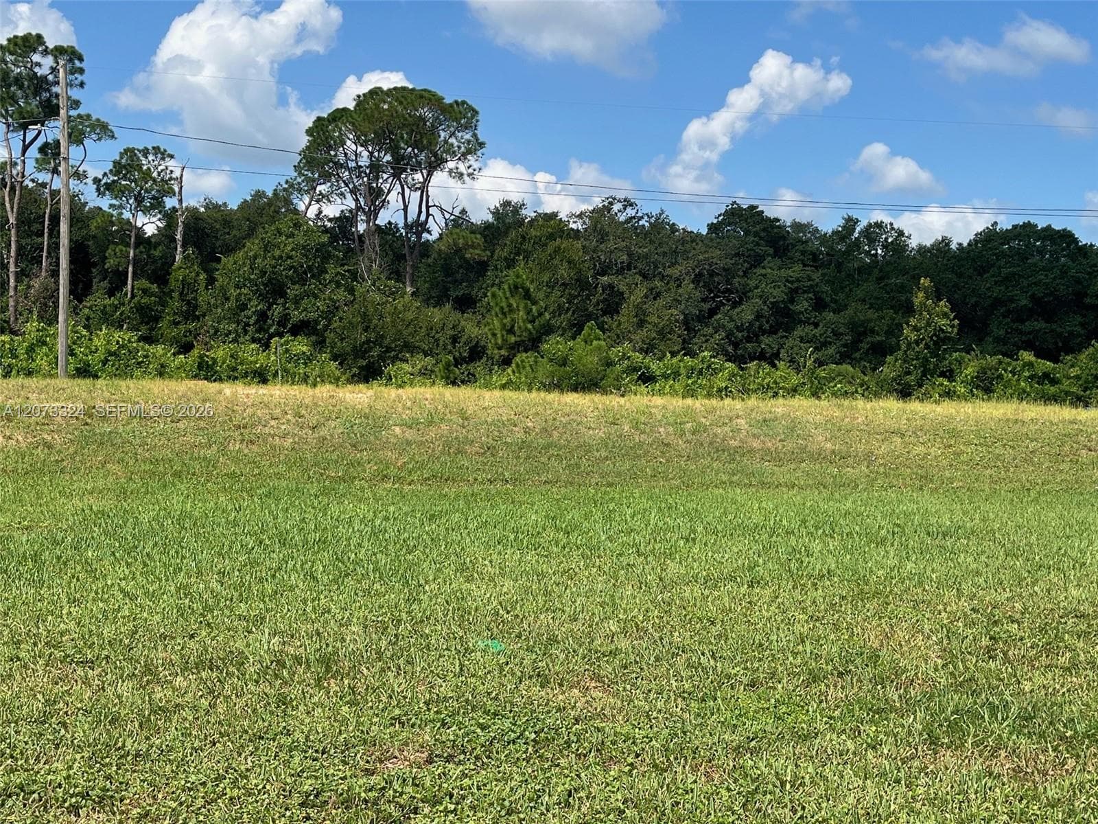 1050 Lake Carrie Dr, Lake Placid, FL 33852 photo 3