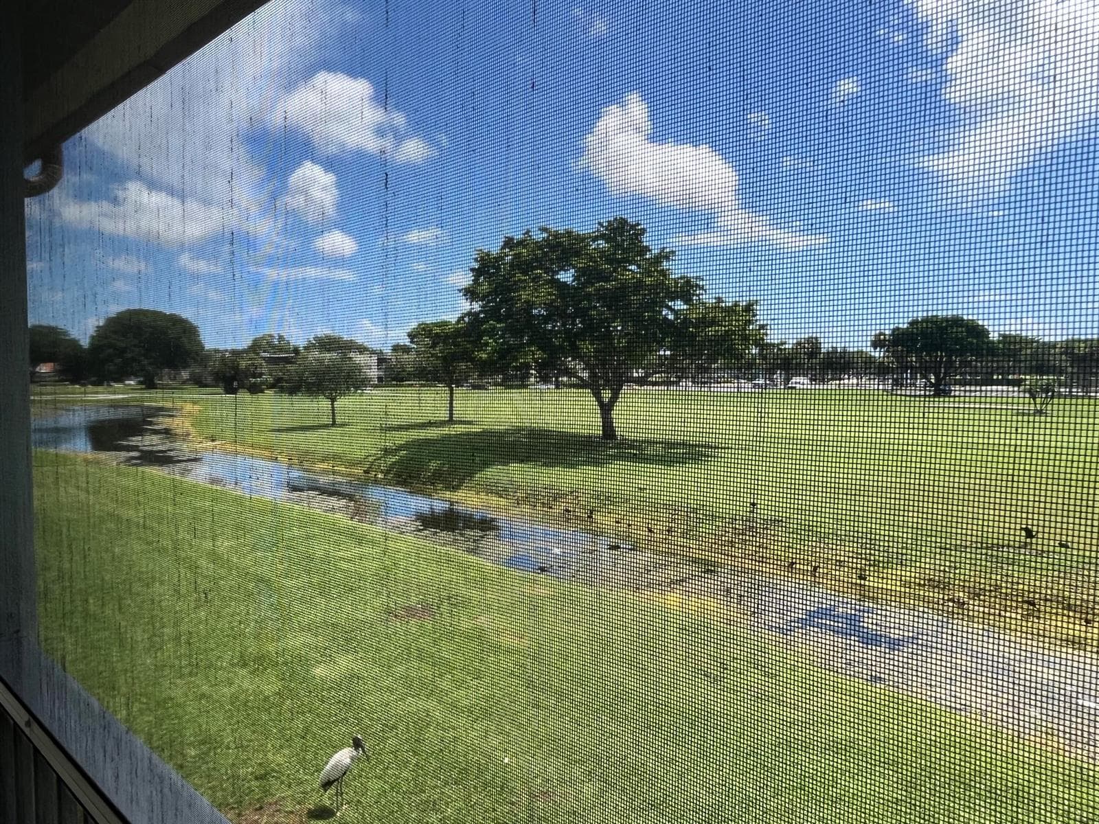 125 PIEDMONT C, Delray Beach, FL 33484 photo 4