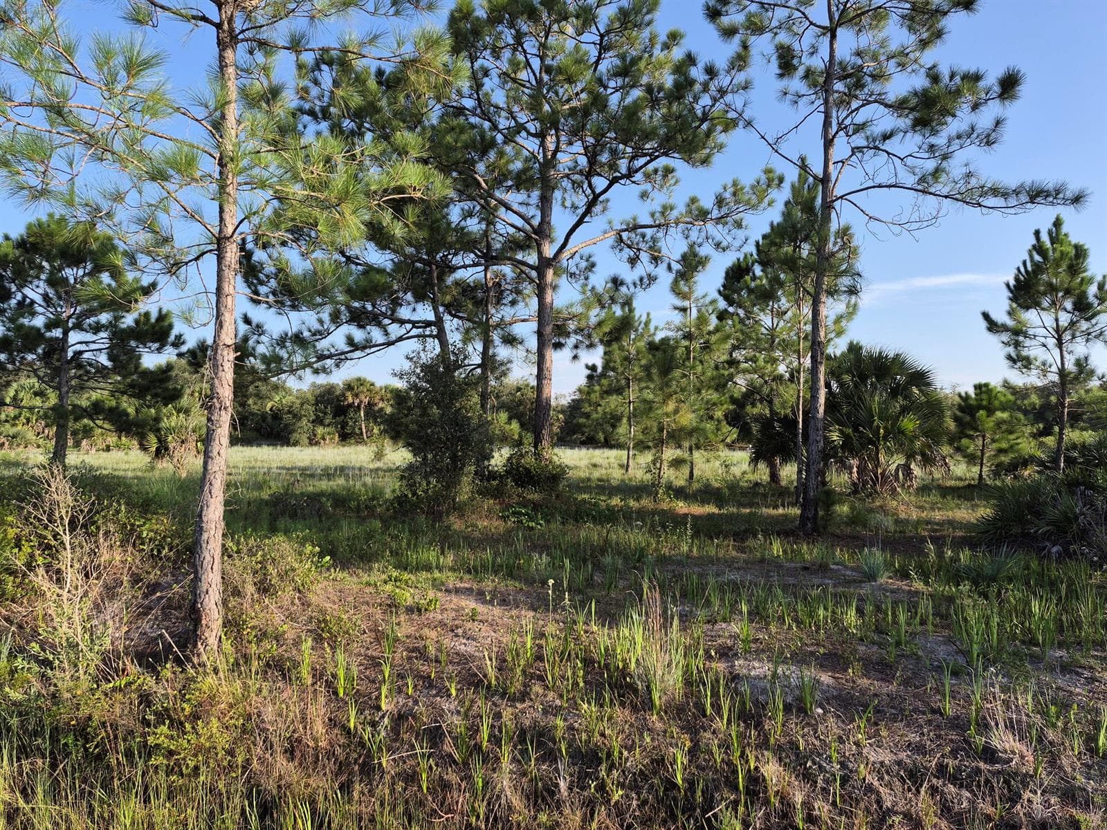 16810 NW 292ND Street, Okeechobee, FL 34972 photo 2