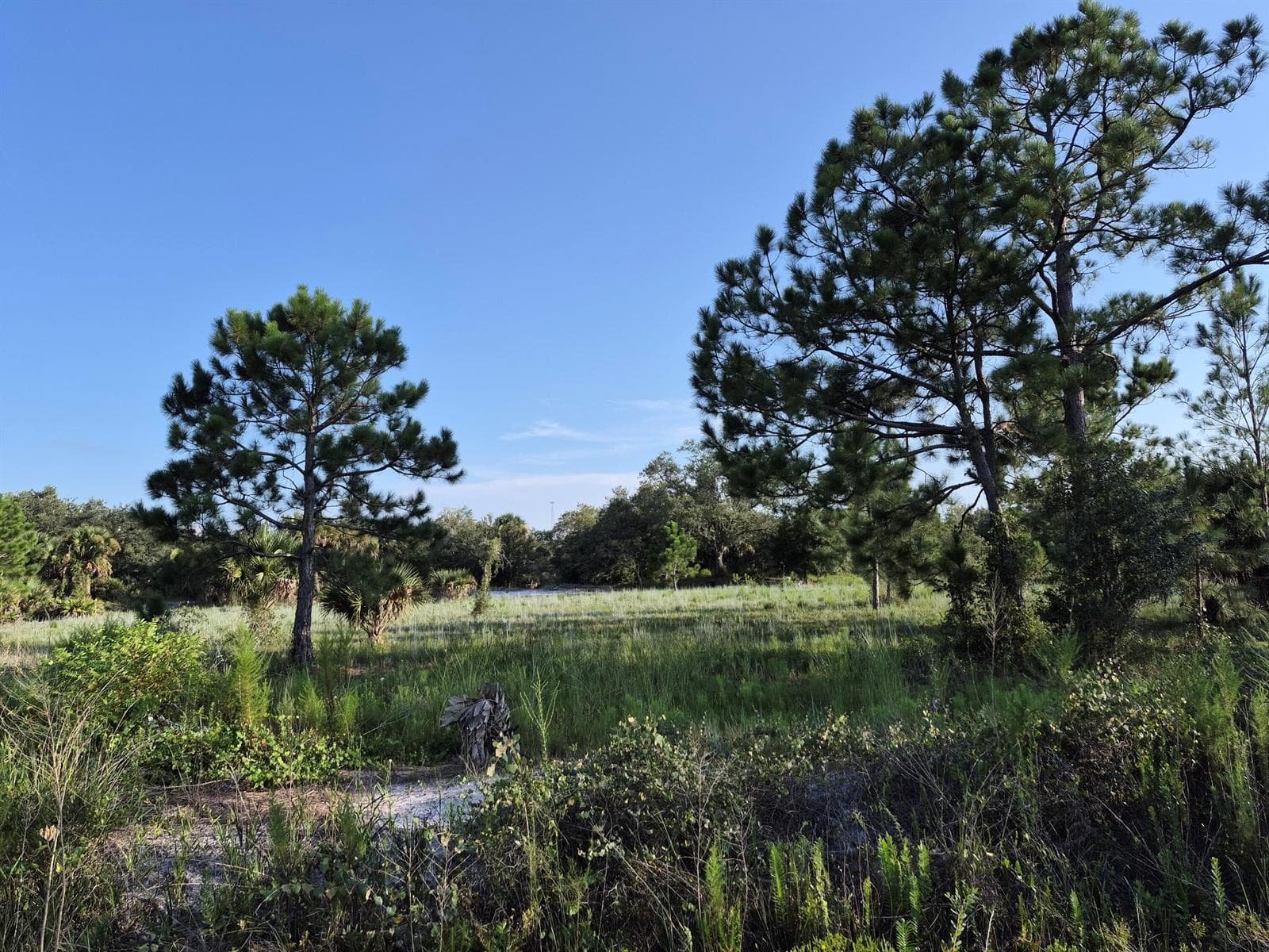 16810 NW 292ND Street, Okeechobee, FL 34972 photo 3