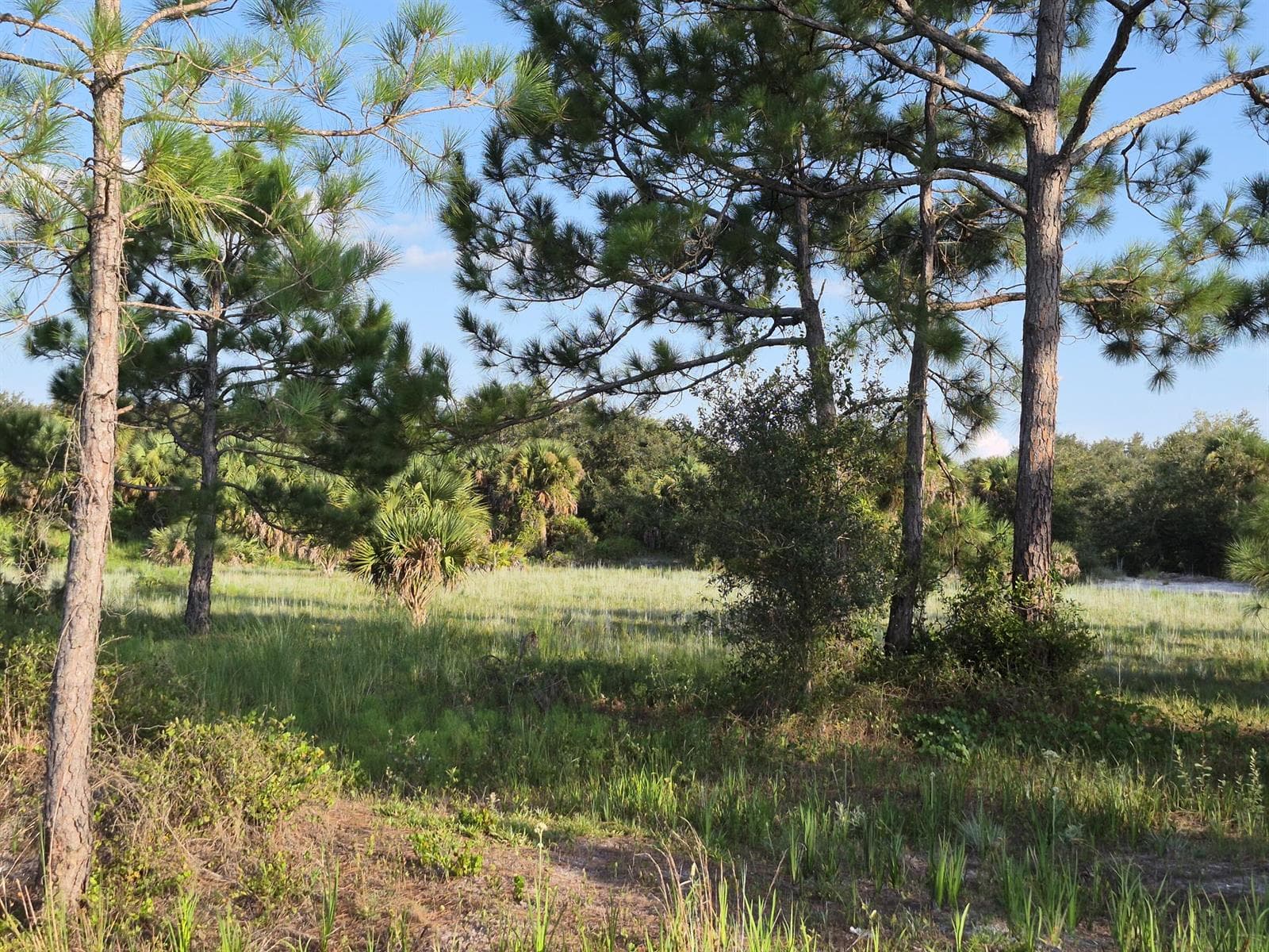16810 NW 292ND Street, Okeechobee, FL 34972 photo 5