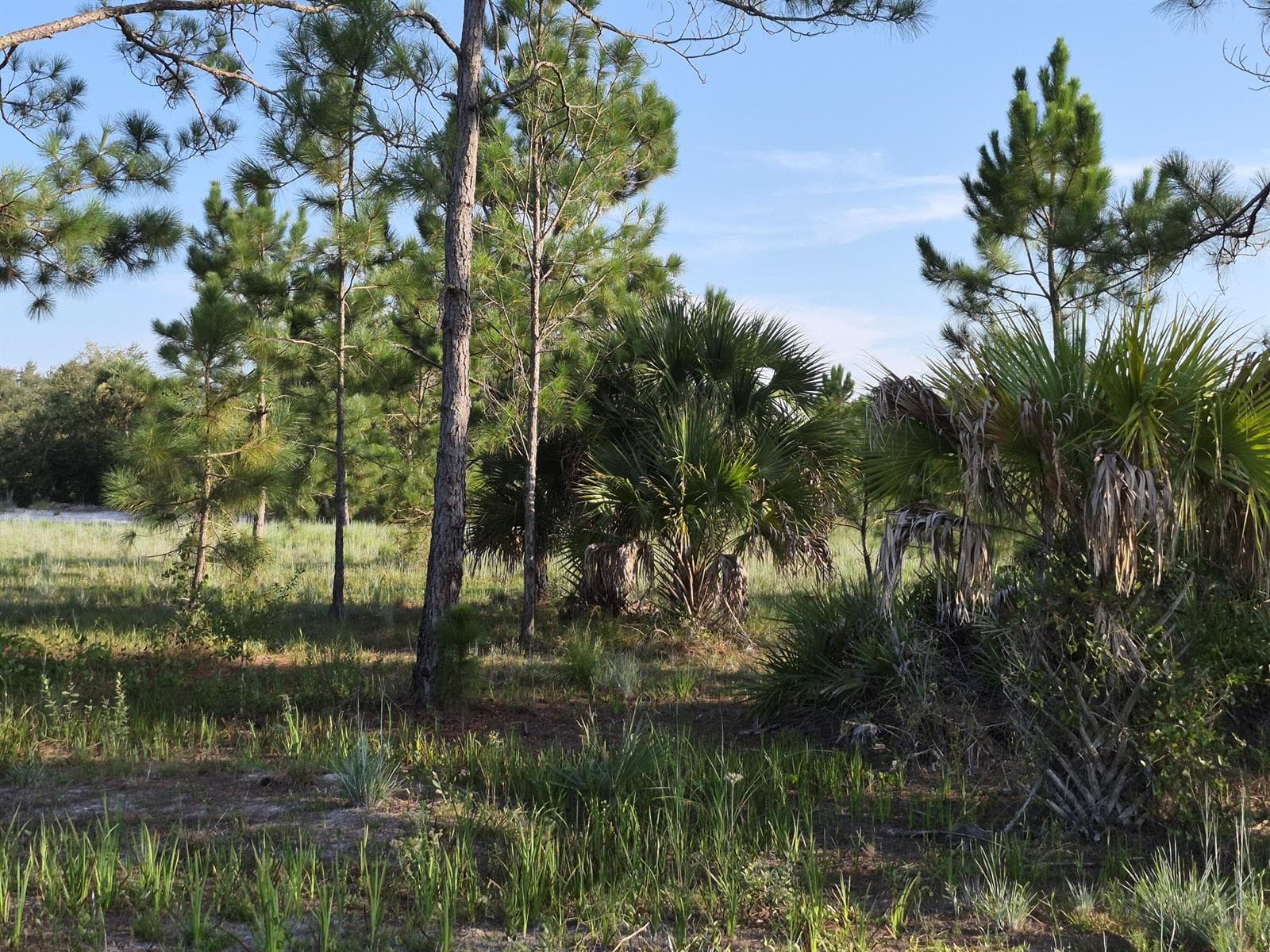 16810 NW 292ND Street, Okeechobee, FL 34972 photo 4