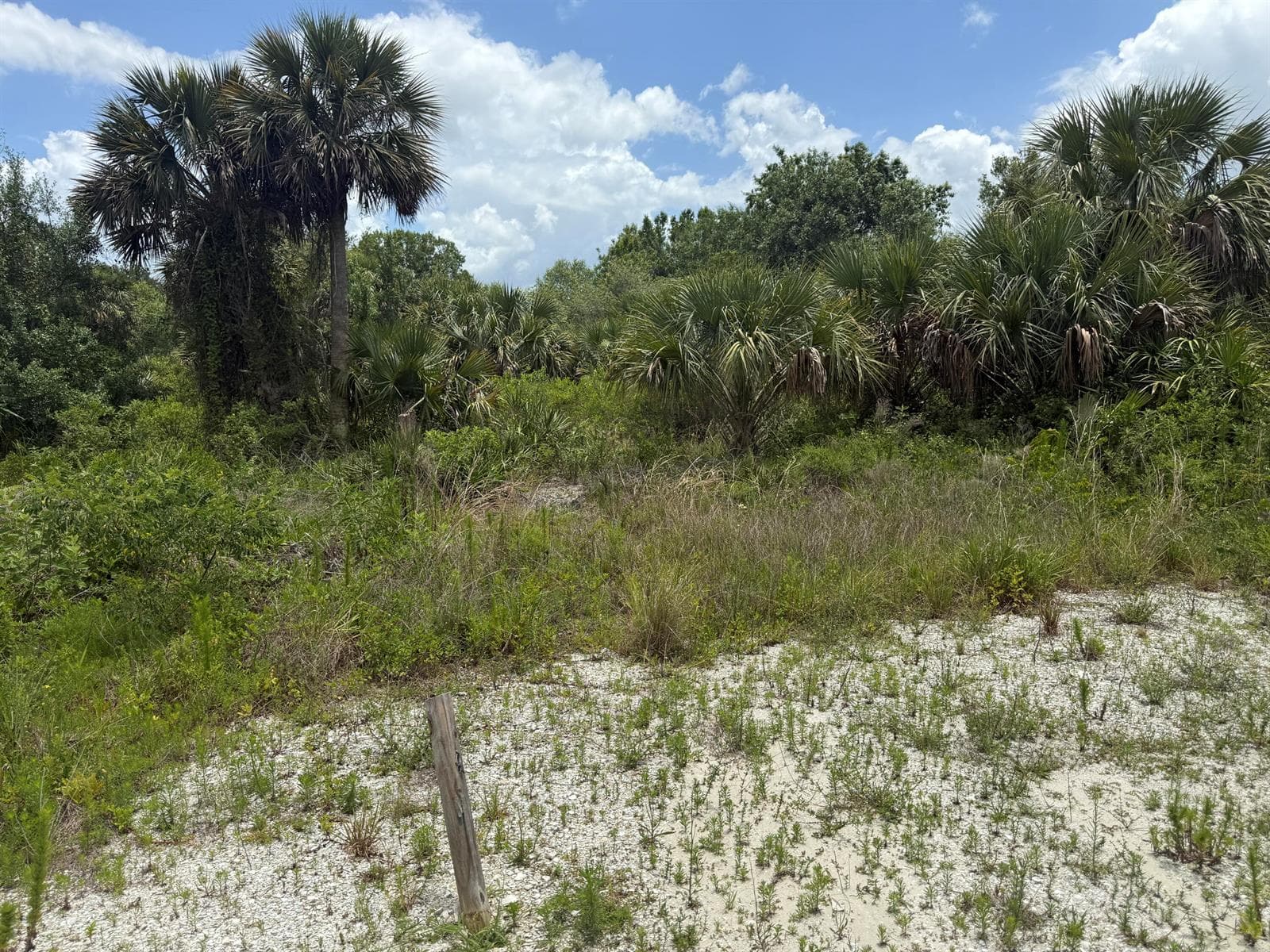 14788 NW 272ND Street, Okeechobee, FL 34972 photo 2