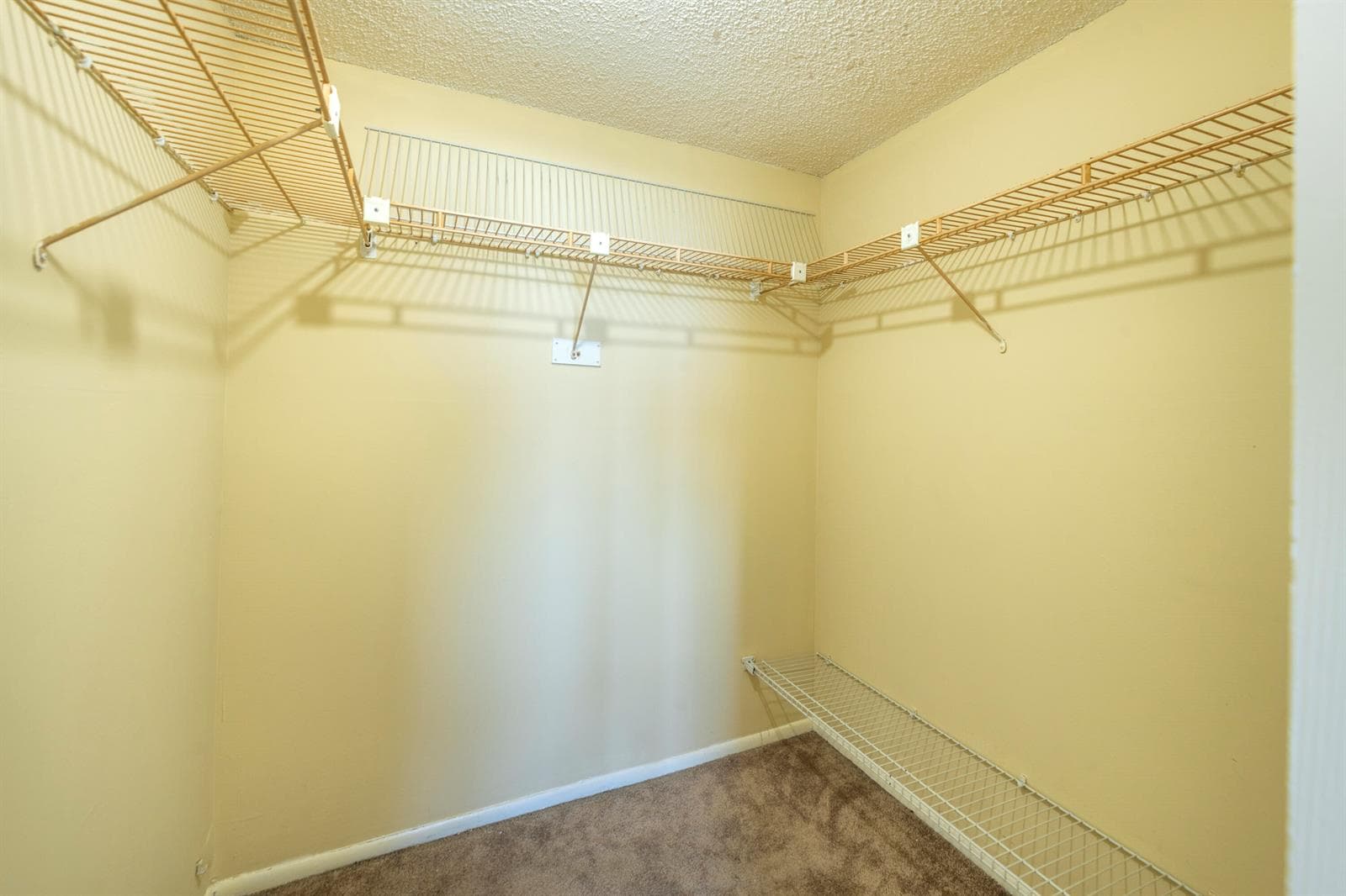 4501 NE 21st Avenue # 412, Fort Lauderdale, FL 33308 photo 4