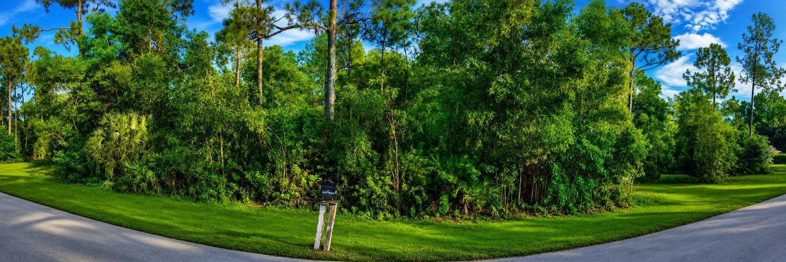 2424 Lola Avenue S, Lehigh Acres, FL 33973 photo 4