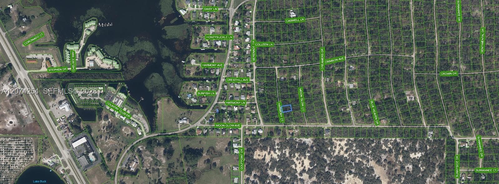 209 Harmony Court, Lake Placid, FL 33852 photo 3