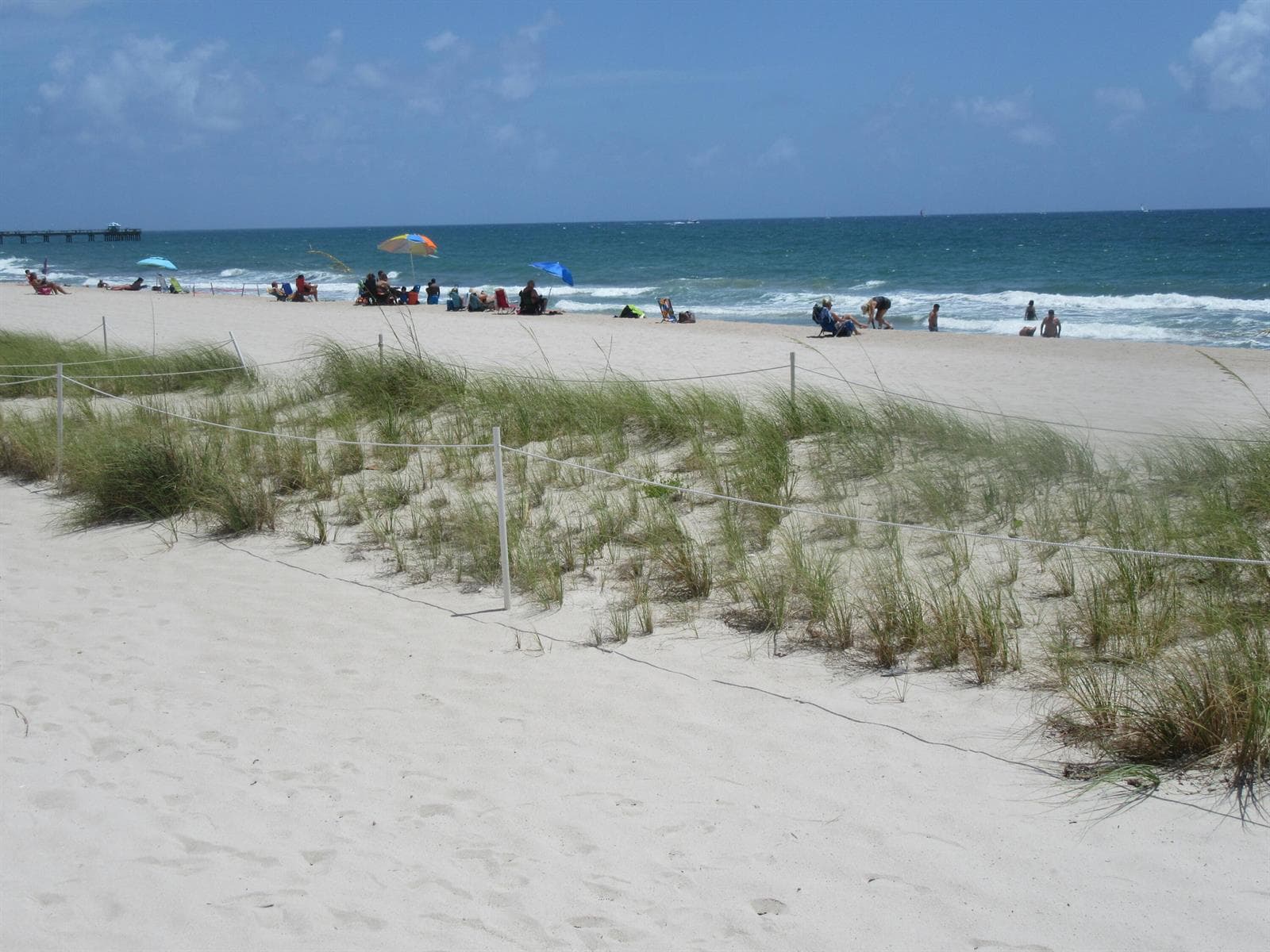 4050 N Ocean Drive # 1509, Lauderdale By The Sea, FL 33308 photo 3