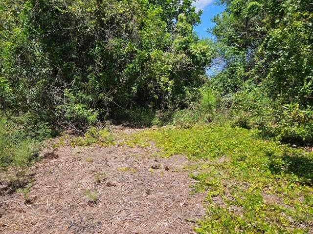 1762 SW COCHRAN Street, Port St. Lucie, FL 34953 photo 4