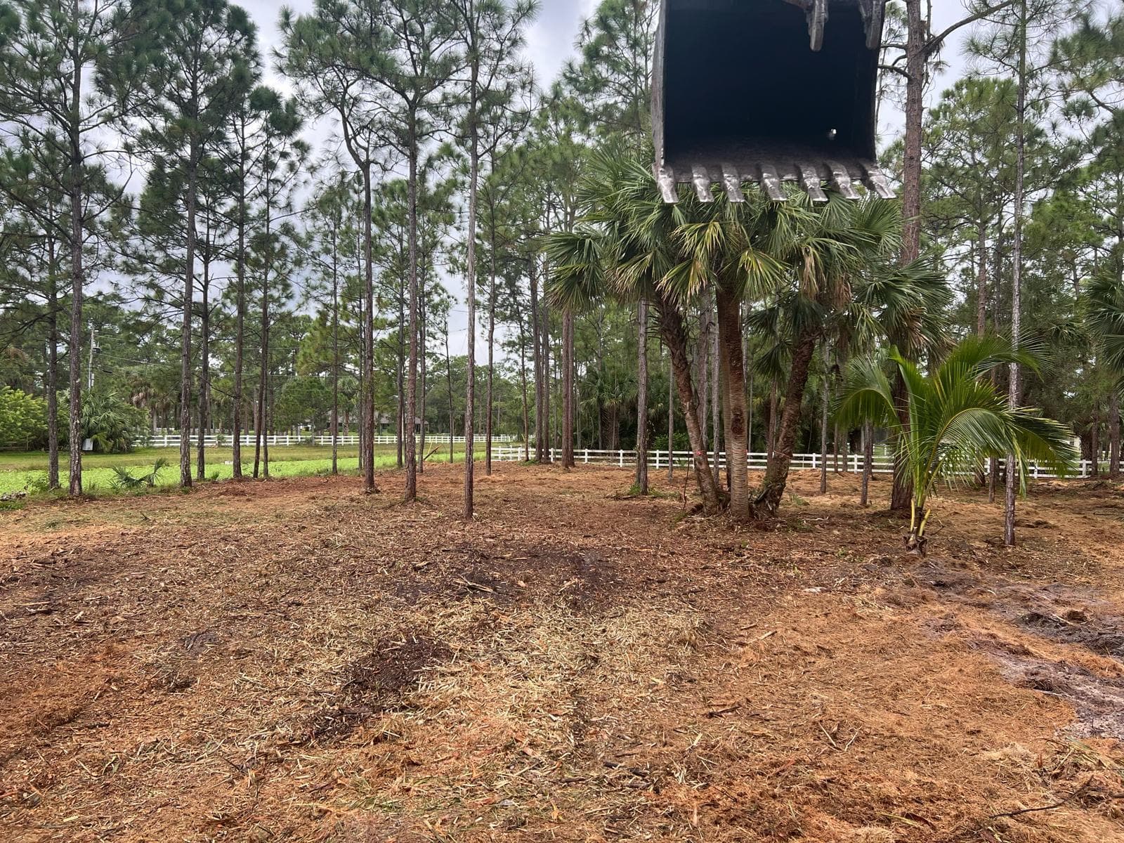 1030 Stallion Drive W, FL 33470 photo 3