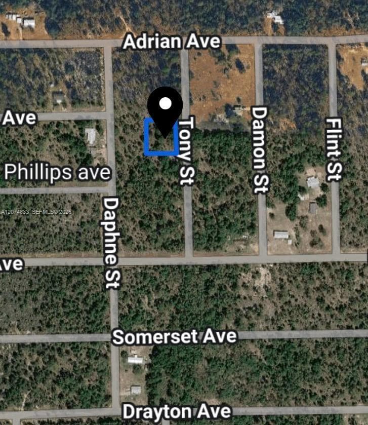 0 TOBY ST, Palatka, FL 32148 photo 2