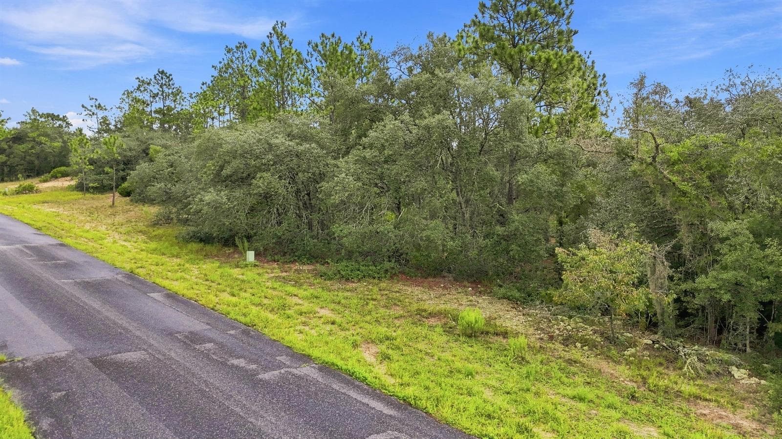 6599 N AIRMONT Drive, FL 34433 photo 3