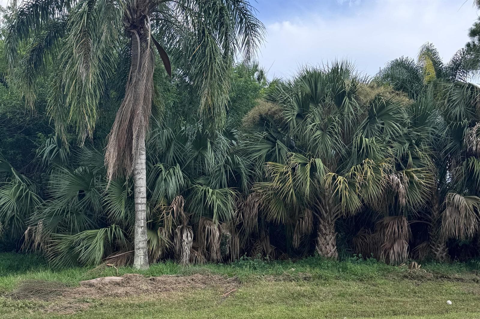 908 SW BAY STATE Road, Port St. Lucie, FL 34953 photo 2