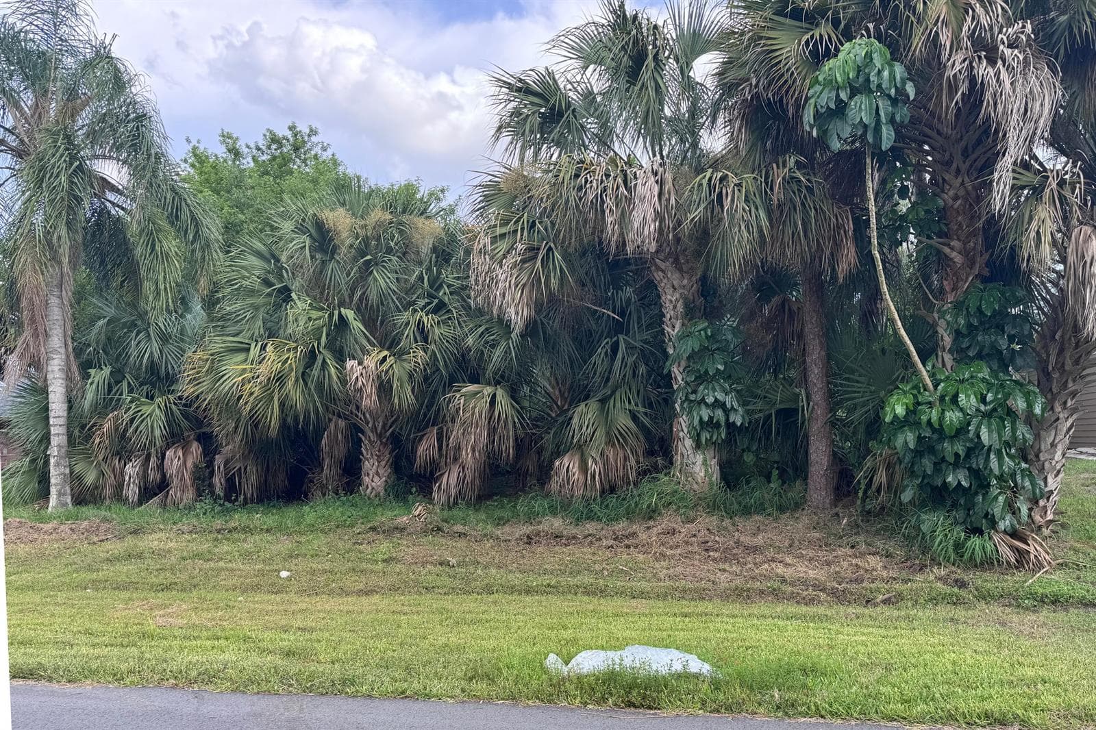 908 SW BAY STATE Road, Port St. Lucie, FL 34953 photo 4