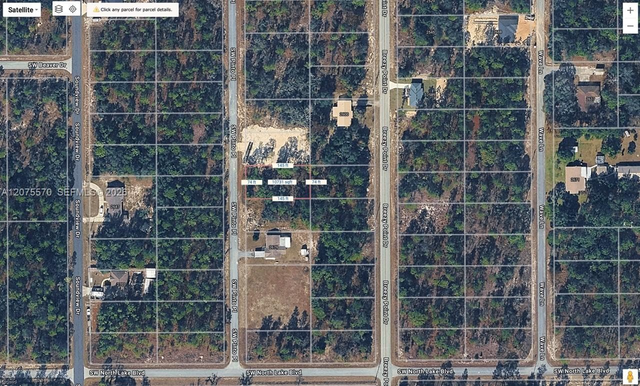TBD SW SW PINTO PL, Ocala, FL 34431 photo 4