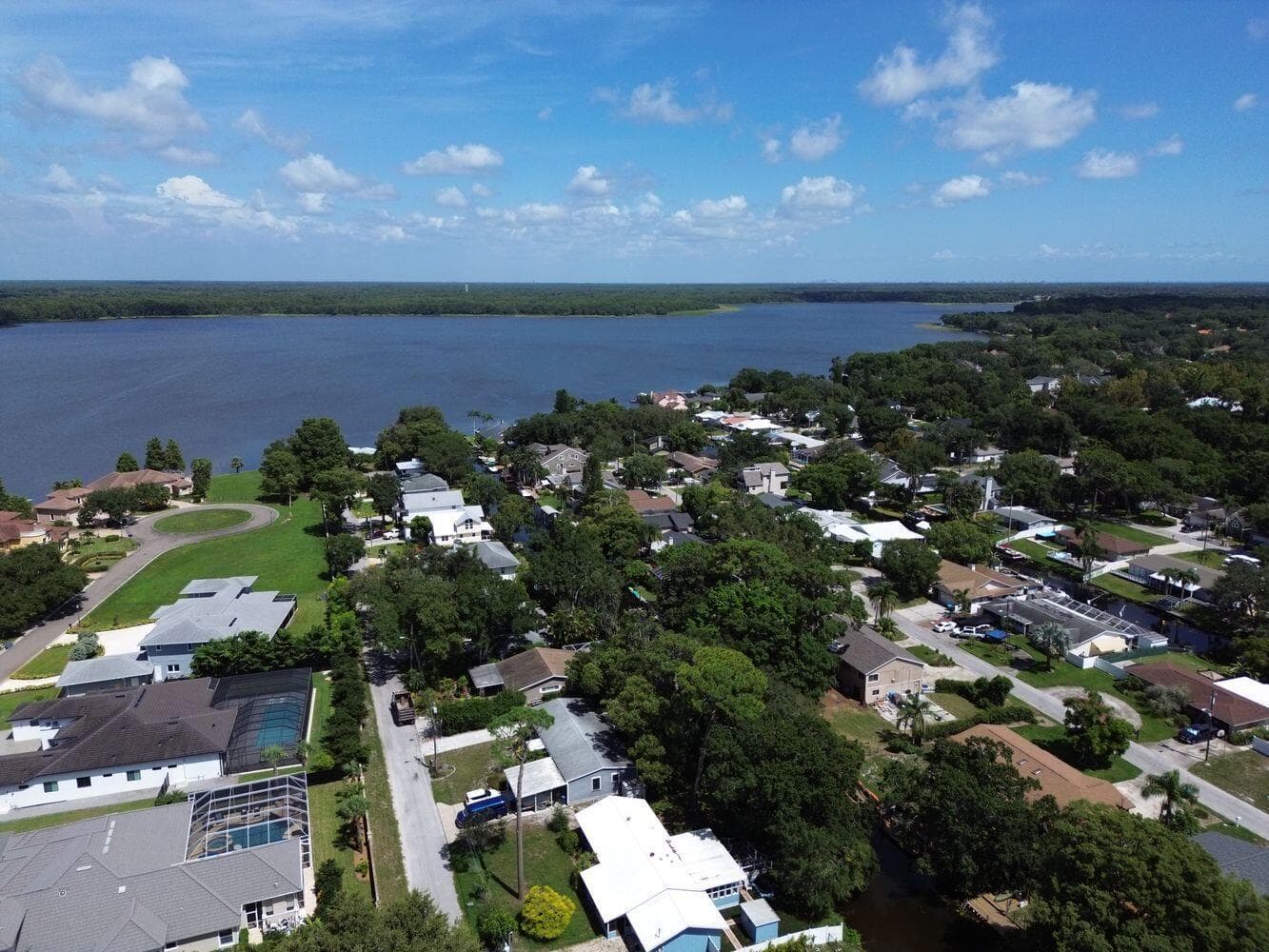 3363 MARION Drive, Palm Harbor, FL 34684 photo 4