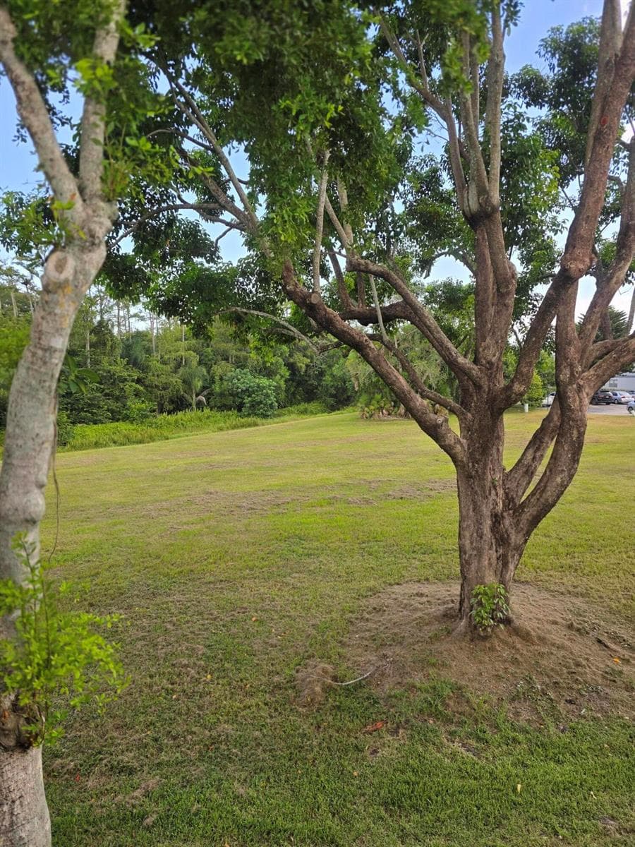 667 Saxony N, Delray Beach, FL 33446 photo 2