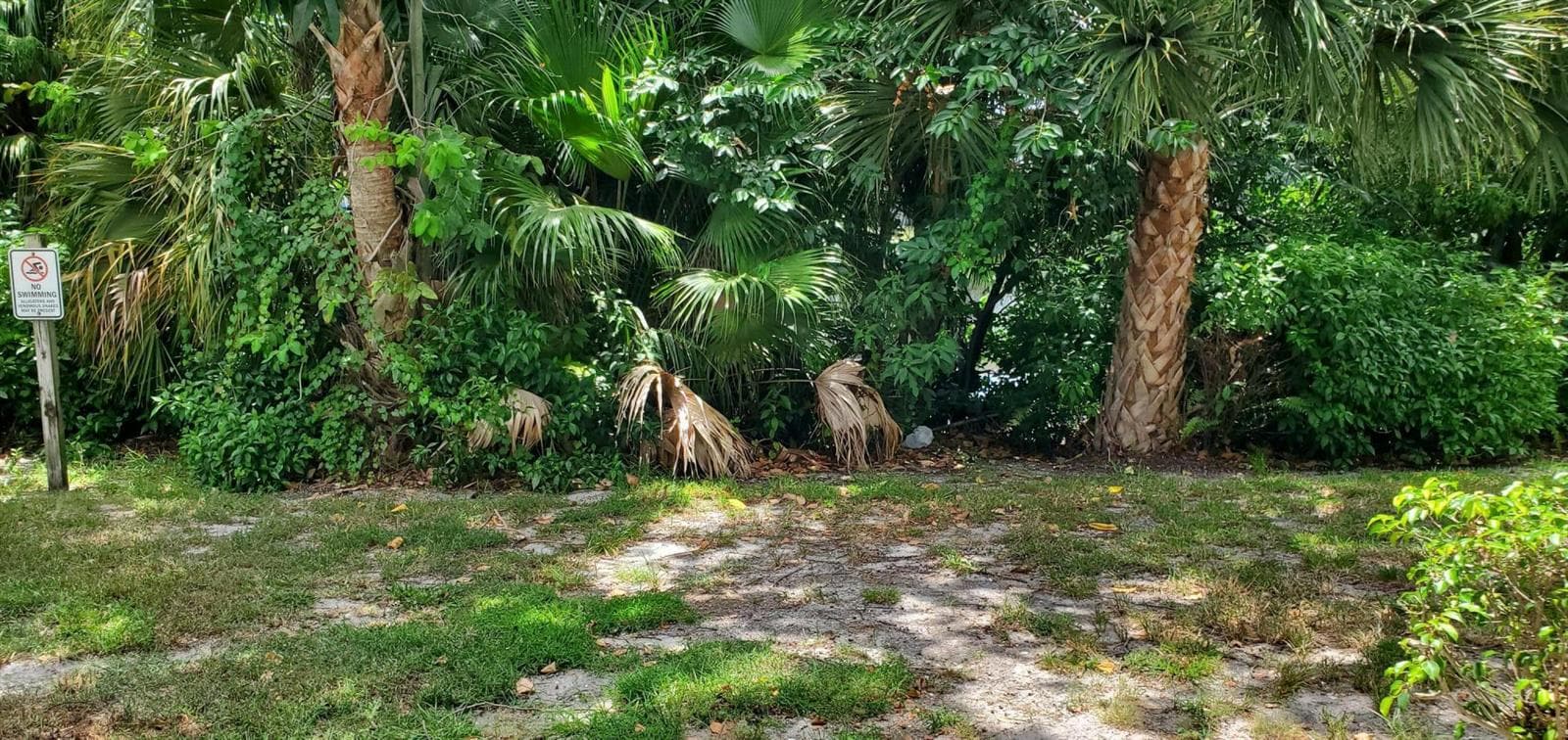 2303 N Congress Avenue, Boynton Beach, FL 33426 photo 2