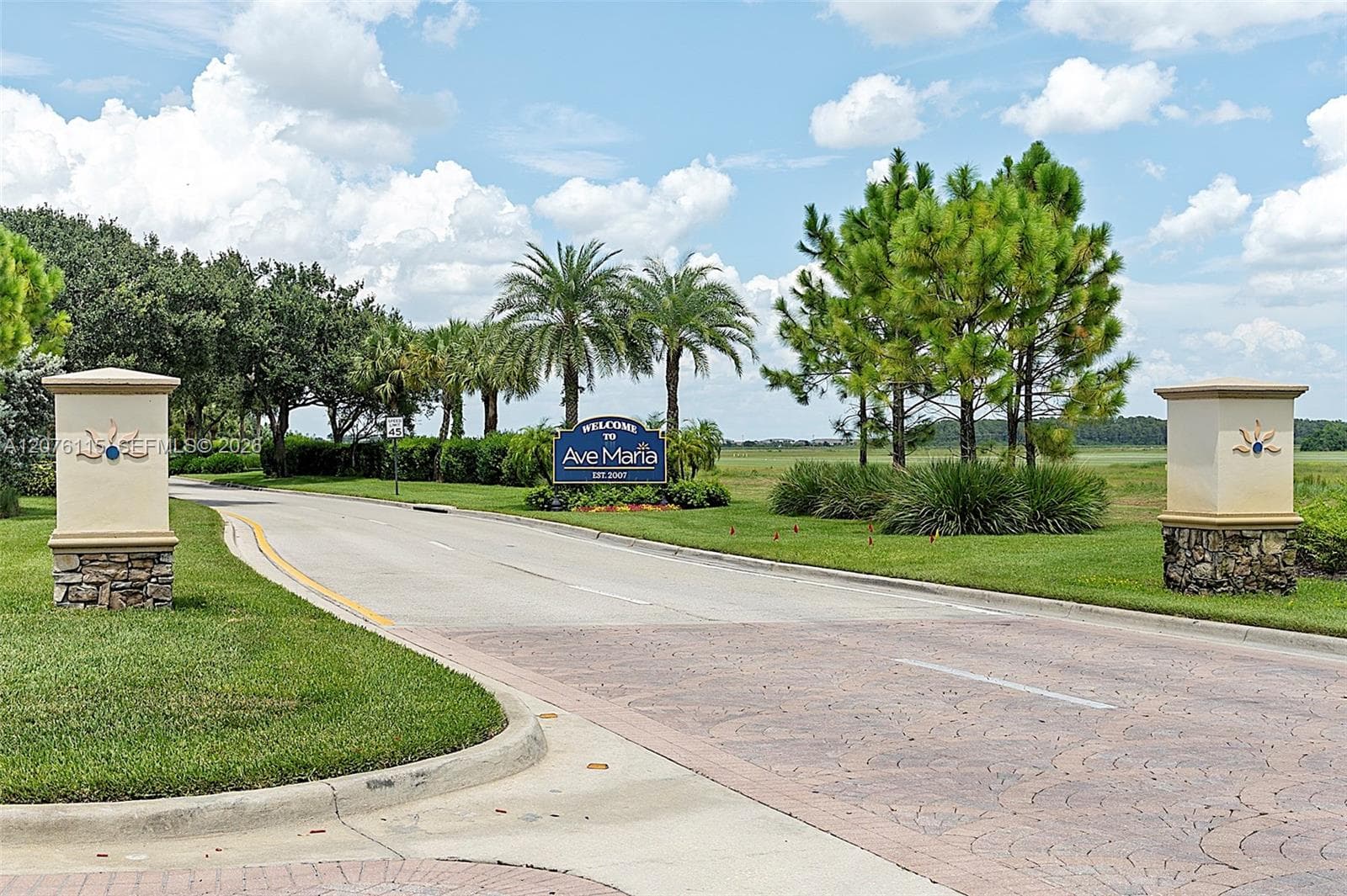 5461 AVE MARIA, Ave Maria, FL 34142 photo 3