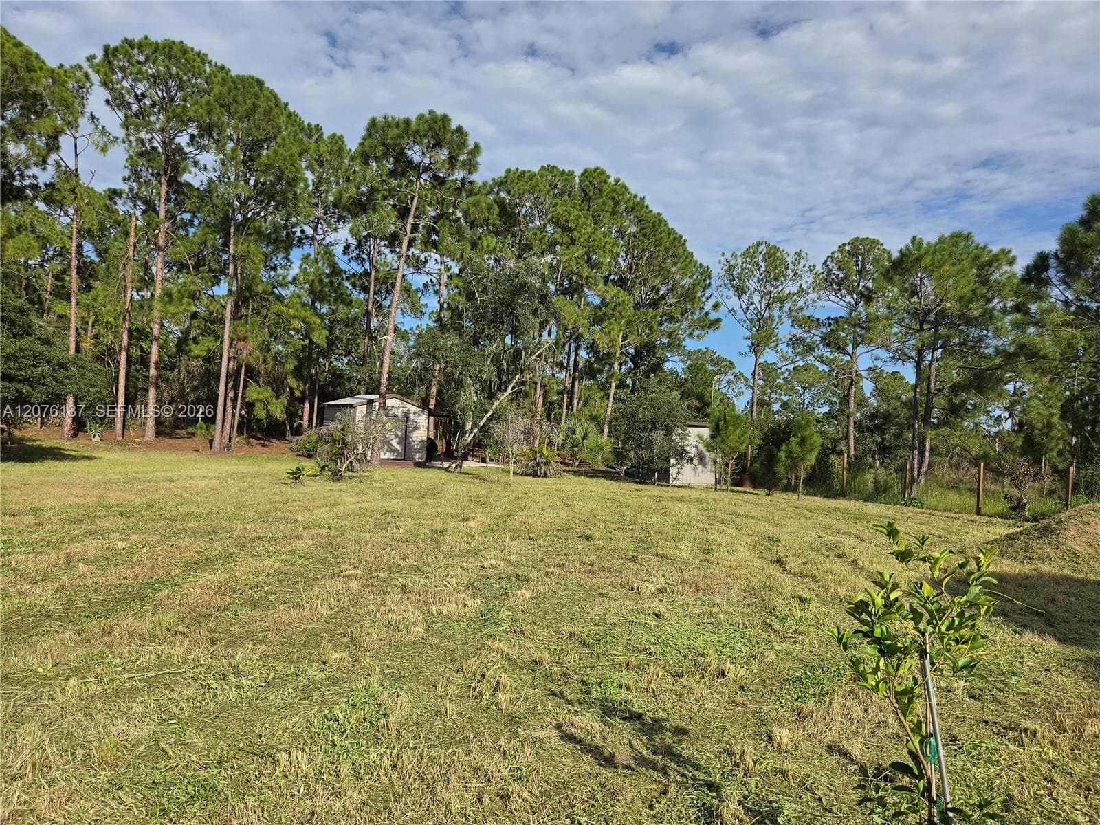 345 Rolling Hills Dr, Lake Placid, FL 33852 photo 3