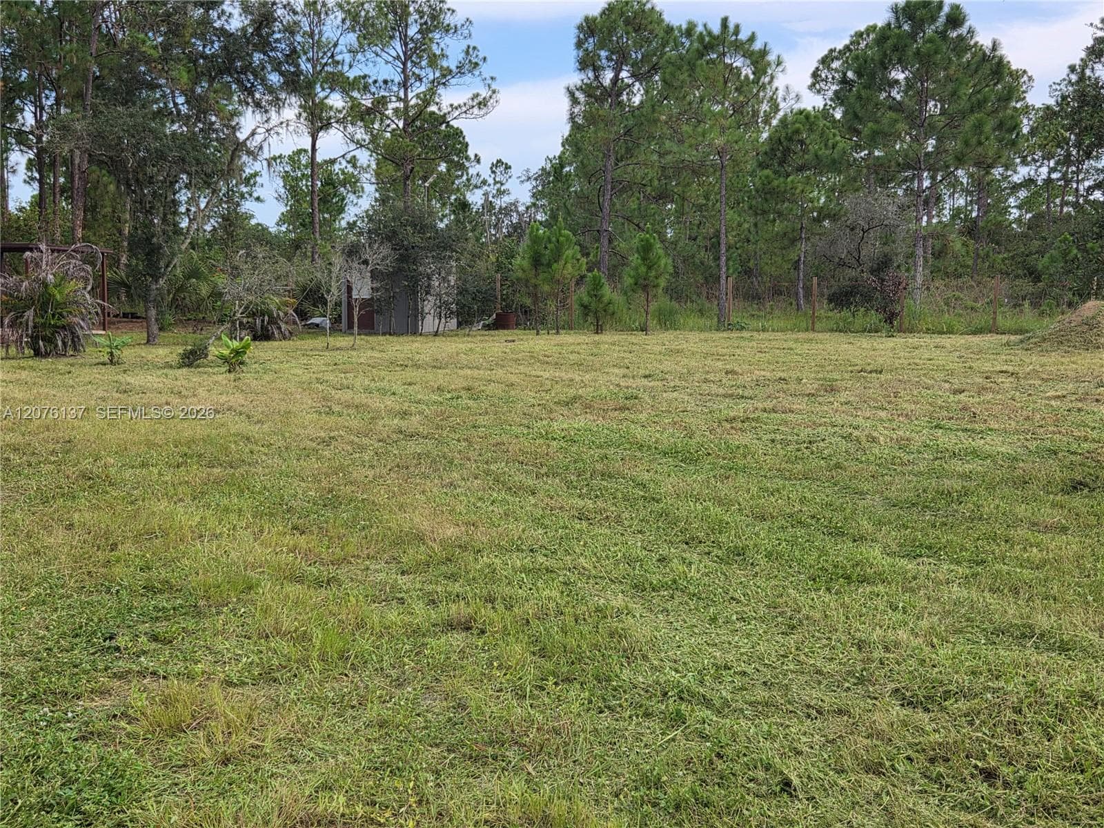 345 Rolling Hills Dr, Lake Placid, FL 33852 photo 5