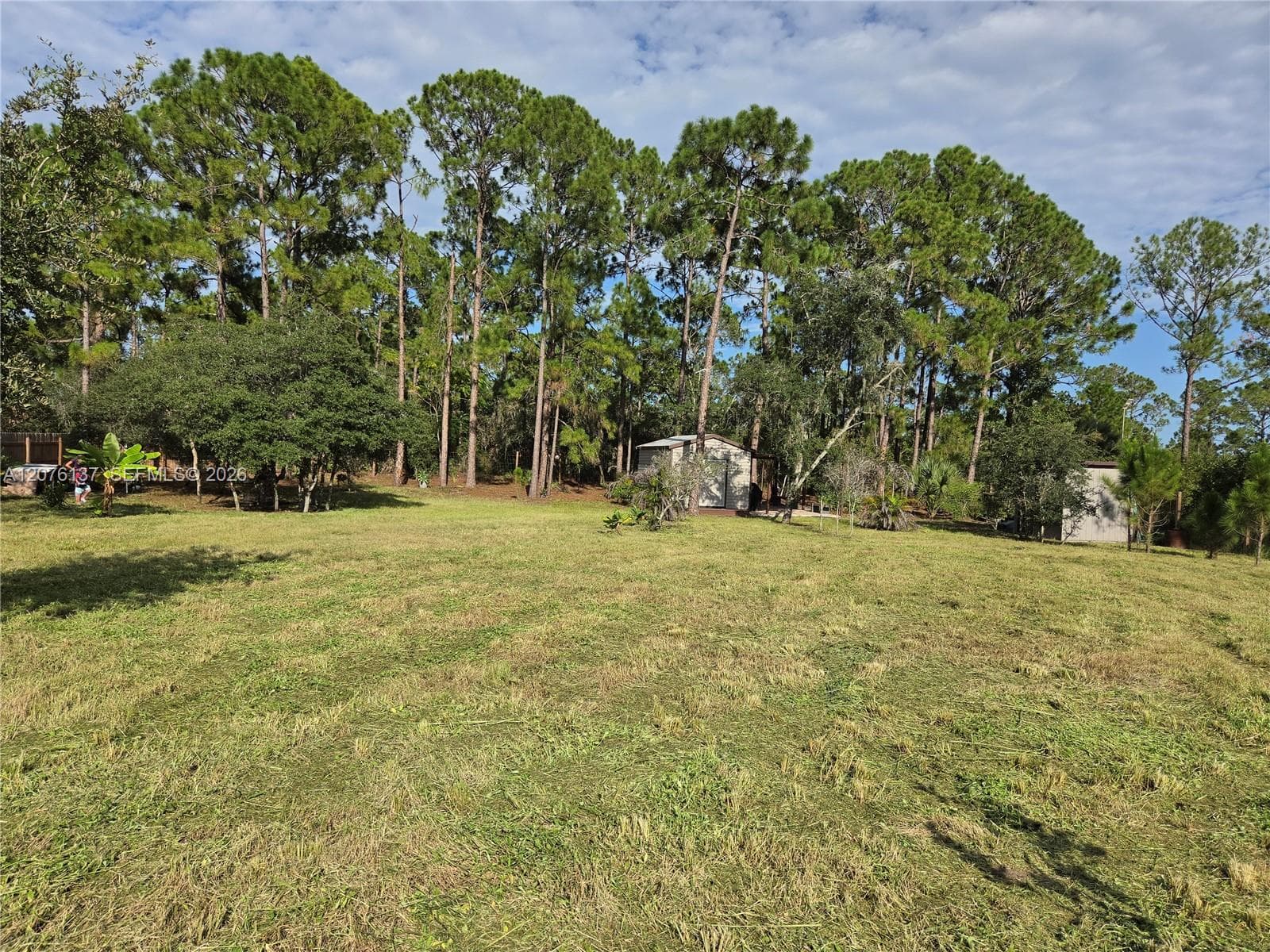 345 Rolling Hills Dr, Lake Placid, FL 33852 photo 4