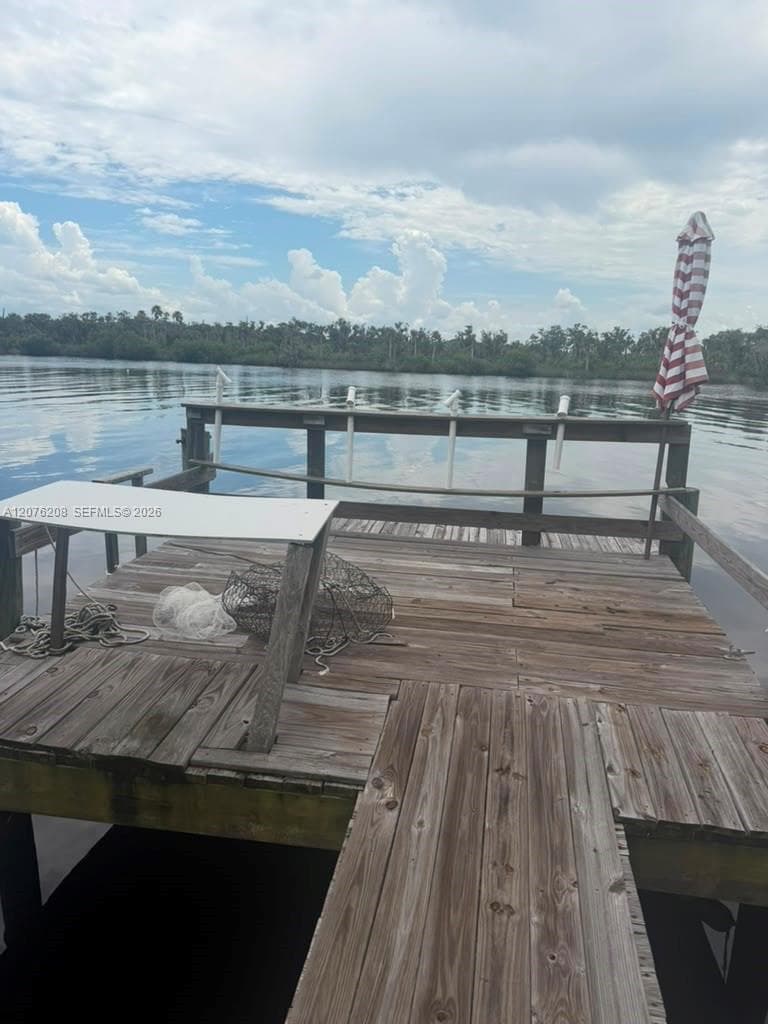 402 Frances Circle, Other City - In The State Of Florida, FL 33570 photo 5