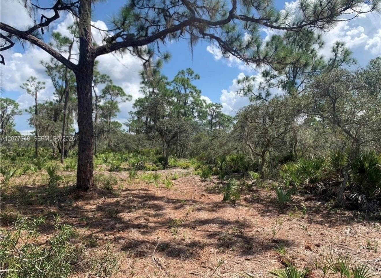 GLADSTONE, Lake Placid FL 33852 photo 5