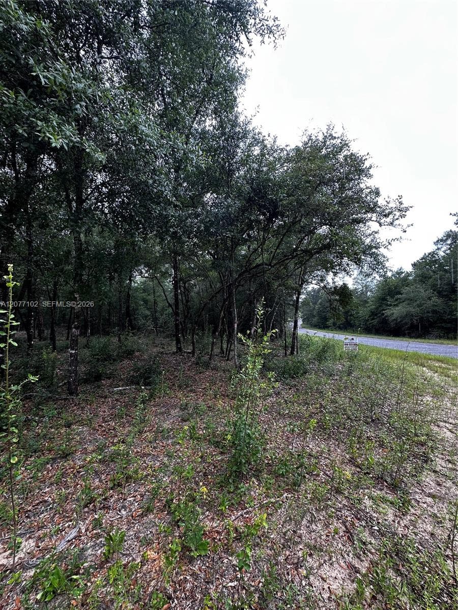 0000 Diane Place, Other City - In The State Of Florida, FL 32428 photo 2