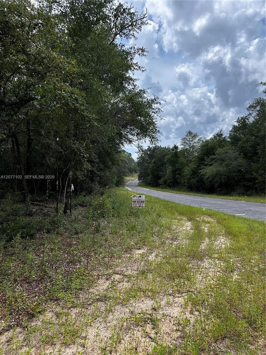 0000 Diane Place, Other City - In The State Of Florida, FL 32428 photo 5