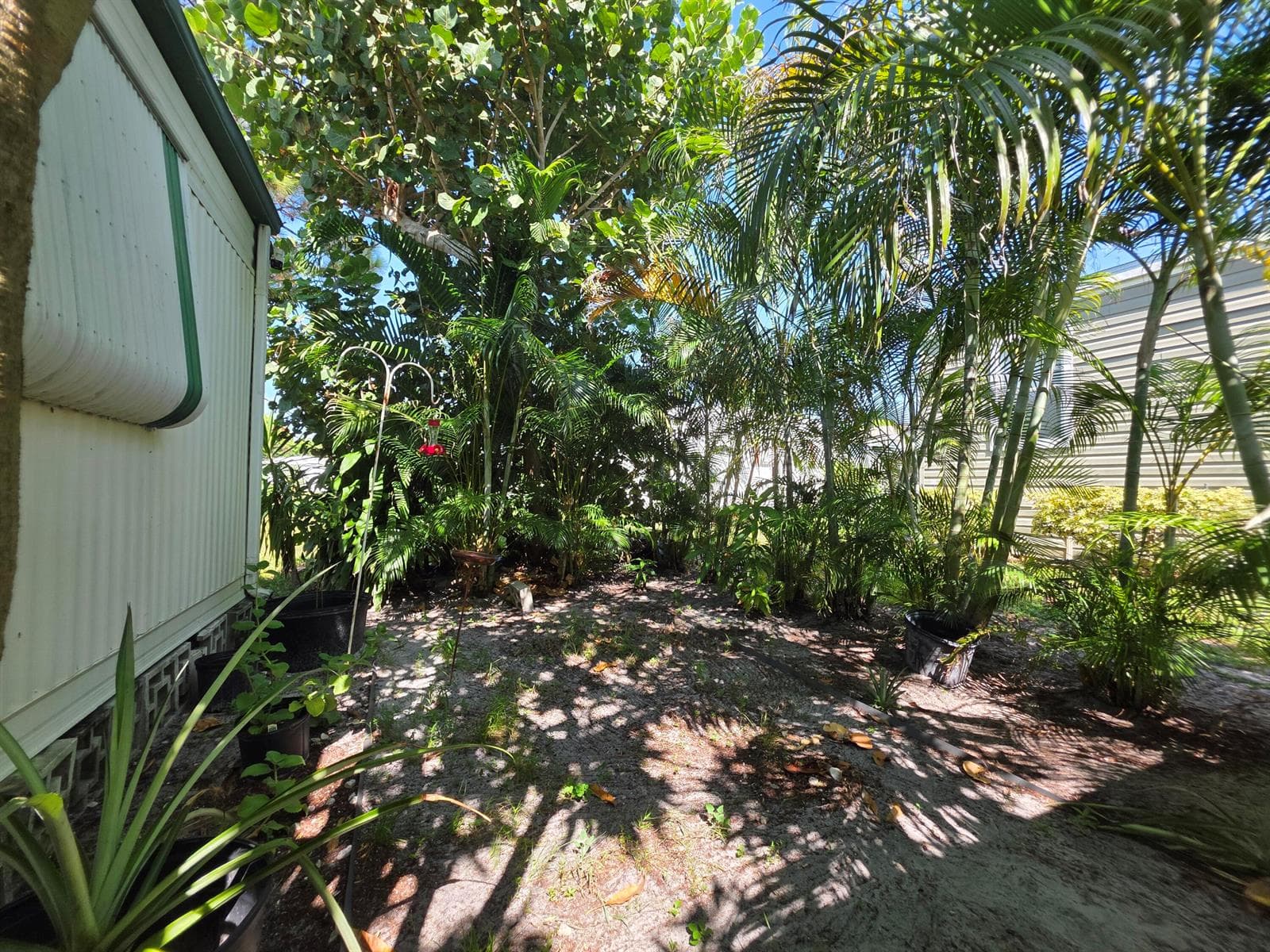 6125 N Guava Lane, Atlantis, FL 33462 photo 4