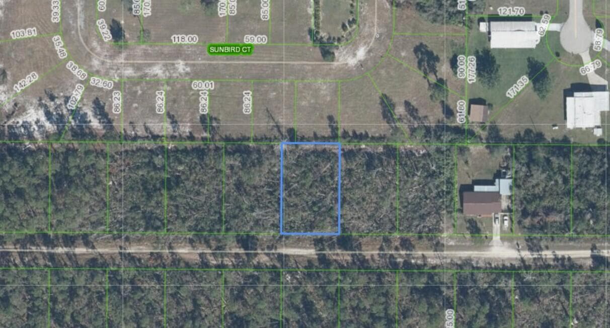 436 NIGHTINGALE Avenue, Sebring, FL 33870 photo 3
