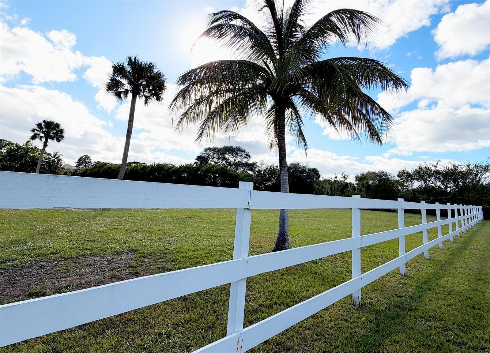 4656 Lillian Avenue, Palm Beach Gardens, FL 33418 photo 3
