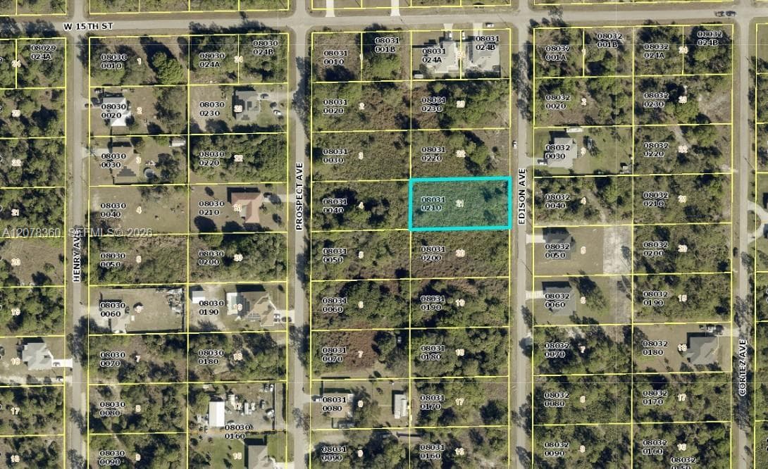 1417 Edison Ave, Lehigh Acres, FL 33972 photo 3