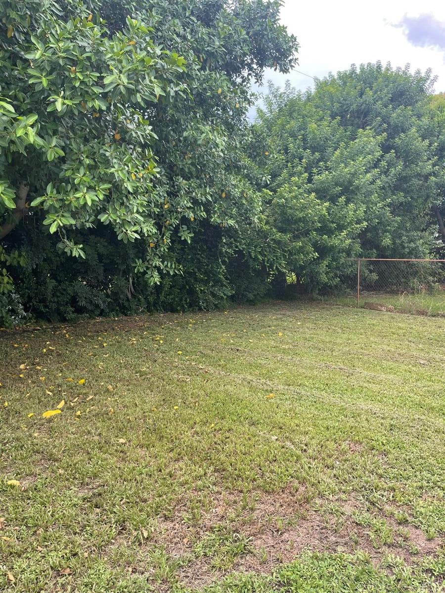 920 NW 3RD Street, Boynton Beach, FL 33435 photo 3