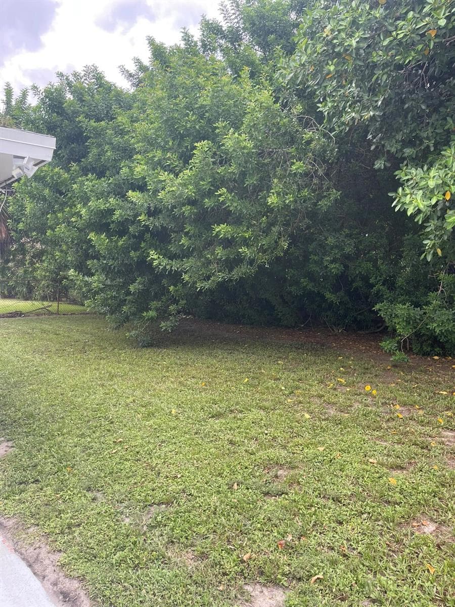 920 NW 3RD Street, Boynton Beach, FL 33435 photo 5
