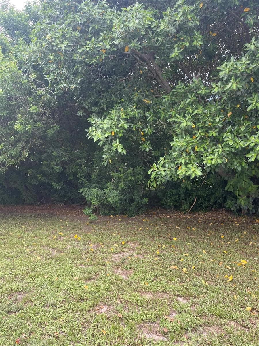 920 NW 3RD Street, Boynton Beach, FL 33435 photo 4
