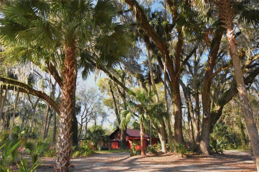 1302 SE WACAHOOTA ROAD, MICANOPY, FL 32667