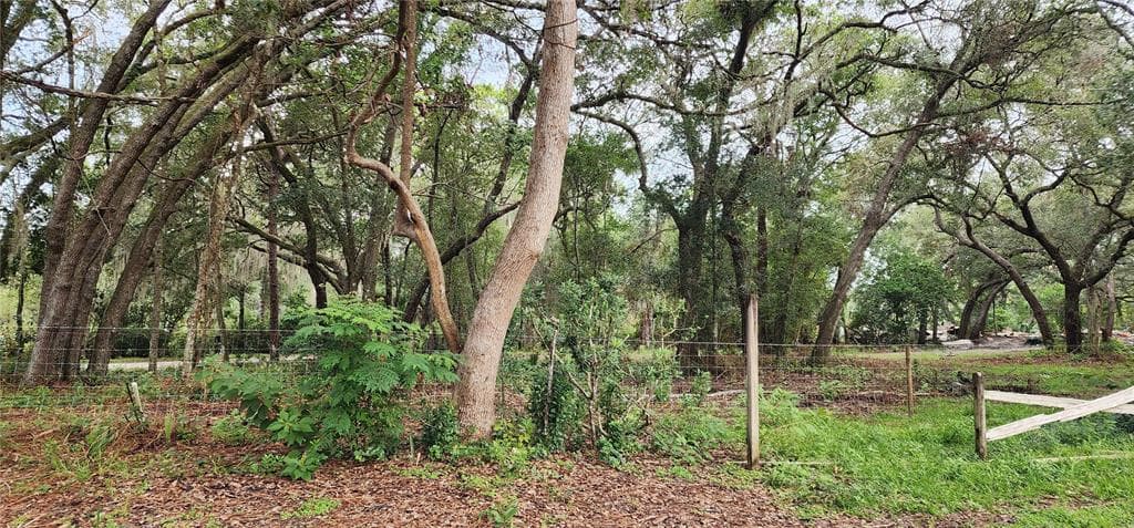 711 SUNSET AVENUE, ORANGE CITY, FL 32763