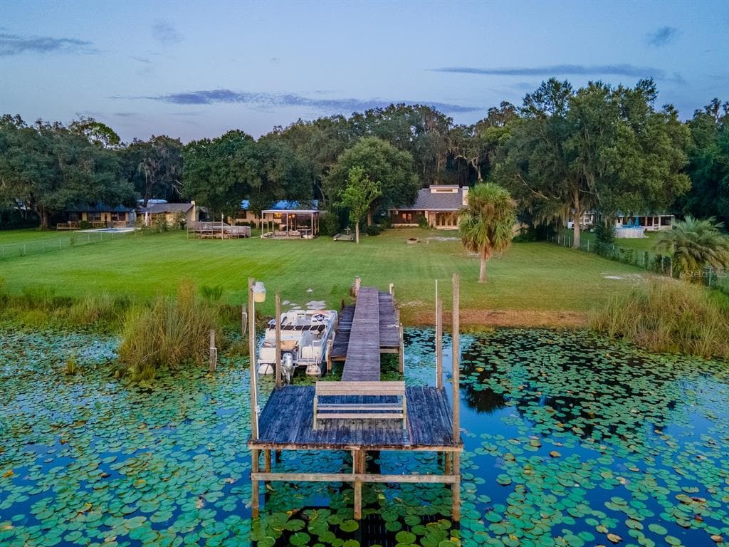 25212 E HIGHWAY 316, SALT SPRINGS, FL 32134