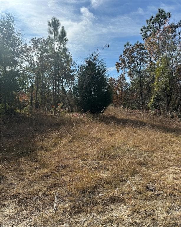 Lot 2 NE 151ST TER, WILLISTON, FL 32696