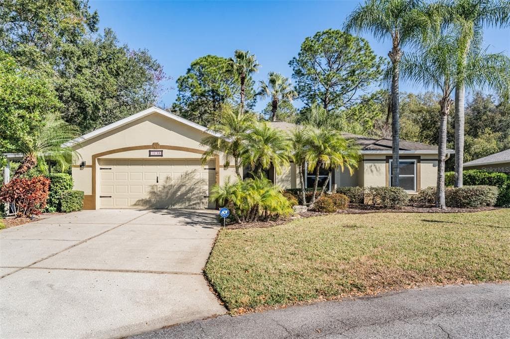 10133 COLLAR DRIVE, SAN ANTONIO, FL 33576