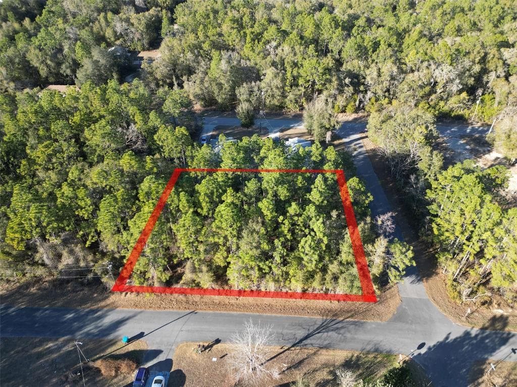 3153 E MAY STREET, INVERNESS, FL 34453