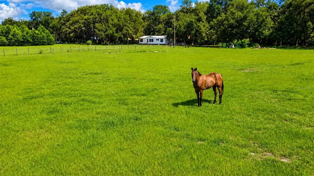 14240 SR 471, WEBSTER, FL 33597