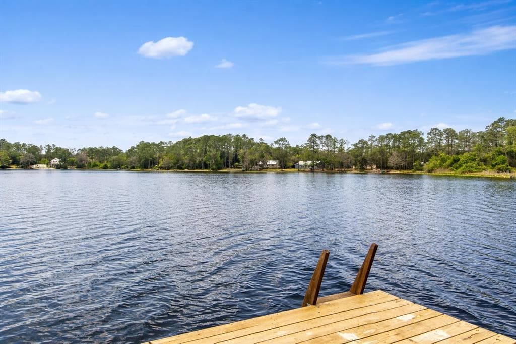 299 RILEY LAKE DRIVE, HAWTHORNE, FL 32640