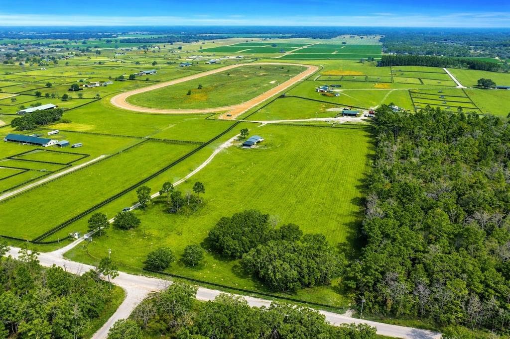 12451 NE 20TH STREET, WILLISTON, FL 32696