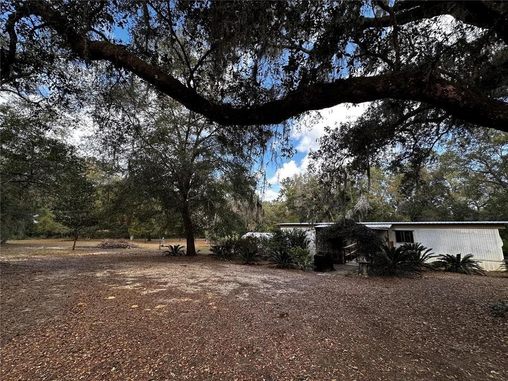 12212 NE 238TH TERRACE, SALT SPRINGS, FL 32134