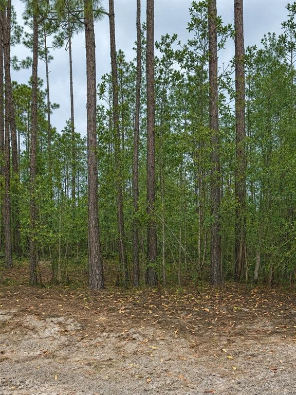 TBD NW 2ND AVENUE, PALATKA, FL 32177